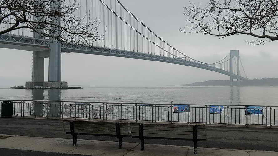 NYC_2020-02-01 11-50-37_CELL_20200201_115037